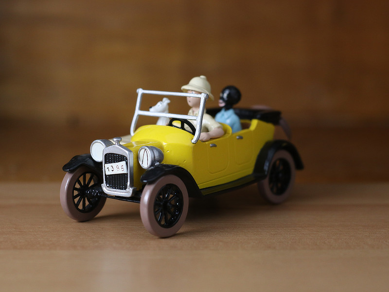Tintin, Milou et Coco dans la voiture
