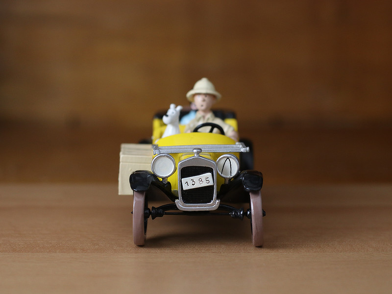 Tintin, Milou et Coco dans la voiture
